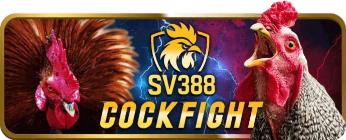 Chương Trình VIP và Điểm Thưởng